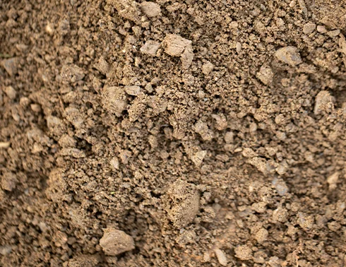 bentonite
